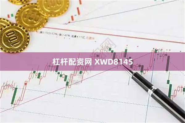 杠杆配资网 XWD8145