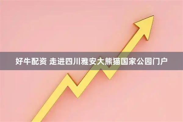 好牛配资 走进四川雅安大熊猫国家公园门户